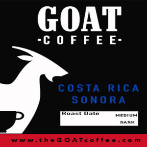 Costa Rica Sonora